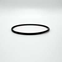 Gehäusedichtung für Carbonit SanUno Auftischfilter