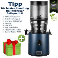 Hurom H330P Whole SlowJuicer | Special Edition 2025