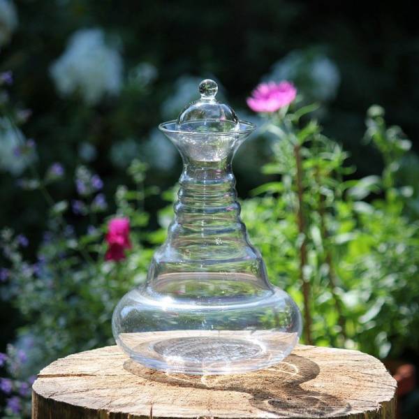 Karaffe Alladin | Lebensblume diverse (1.3L)