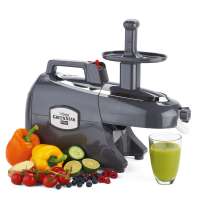 GreenStar Pro | Saftpresse für Gewerbe