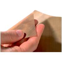 Dörrfolie Silikon 28x48cm | faltbares Sahara Dörrgerät