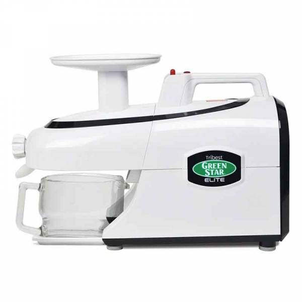 GreenStar Elite Saftpresse (GSE-5000)