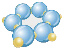 Wassertransport_Zelle_UMH_einzeln
