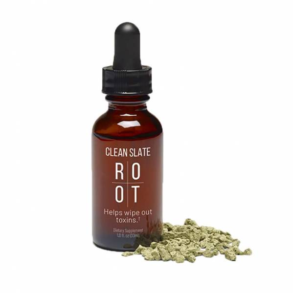 ROOT Clean Slate | sauberer Schiefer