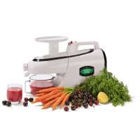 GreenStar Elite Saftpresse (GSE-5000)