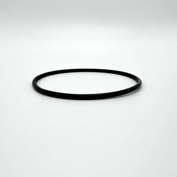 Gehäusedichtung für Carbonit SanUno Auftischfilter