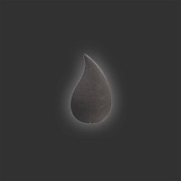 Ananti-Chip Lifespirit für elekronische Geräte